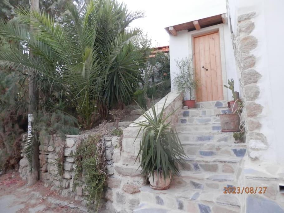 Areti Apartment Pitsidia