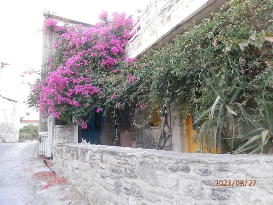 Areti Apartment Pitsidia